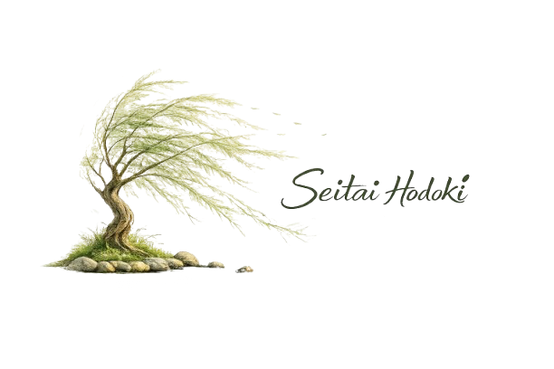 Seitai Hodoki logo